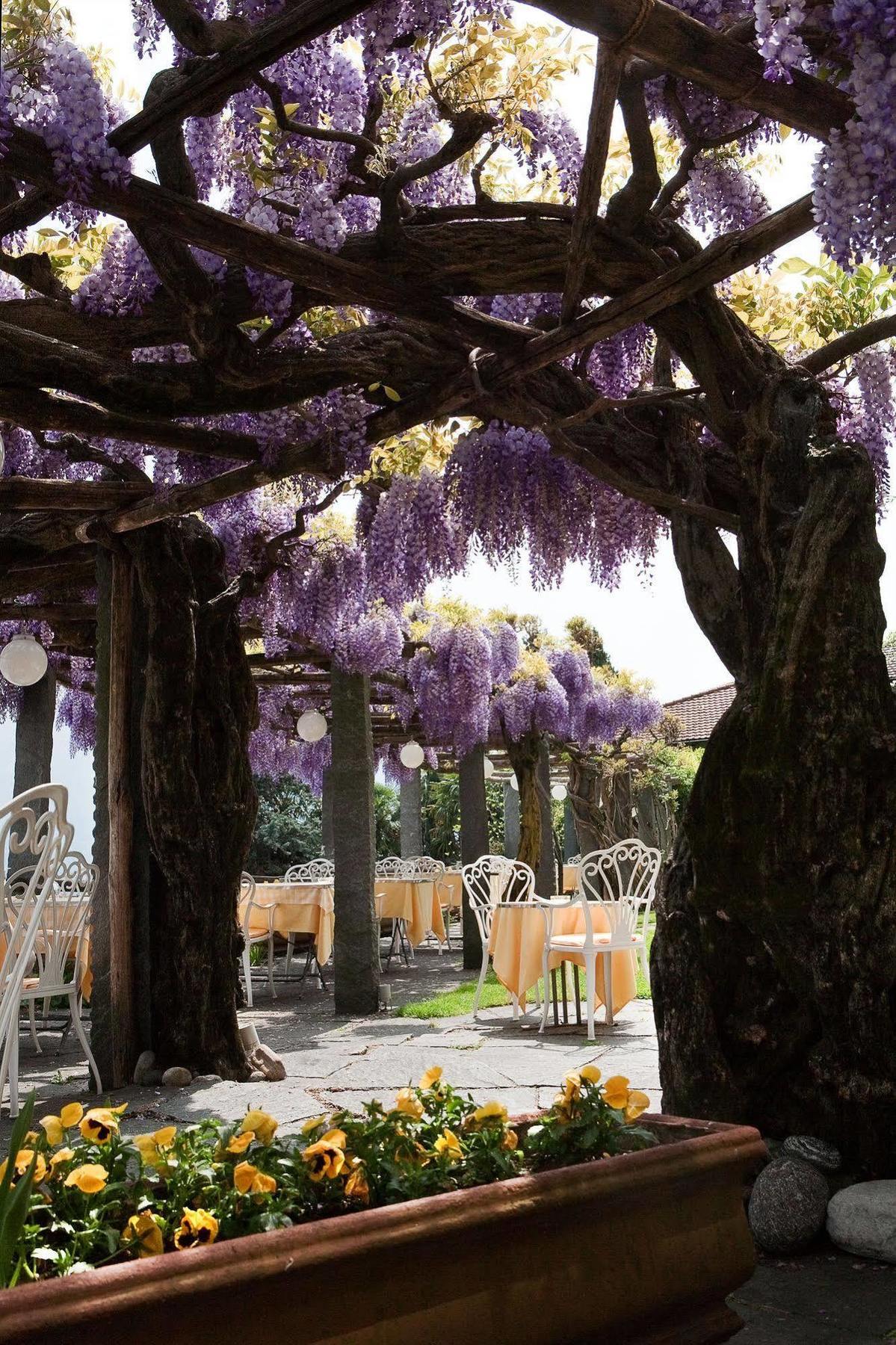 Hotel Ascona Bagian luar foto